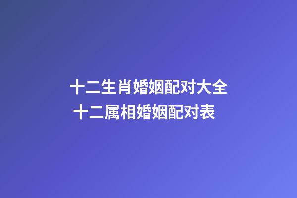 十二生肖婚姻配对大全 十二属相婚姻配对表-第1张-观点-玄机派